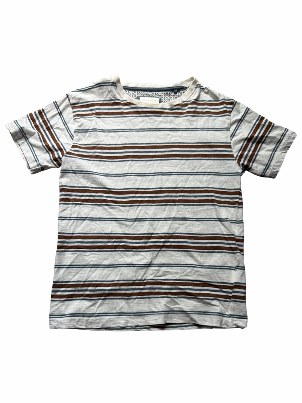 Boy’s Cactus White Tee with Brown and Blue Stripes - Kids